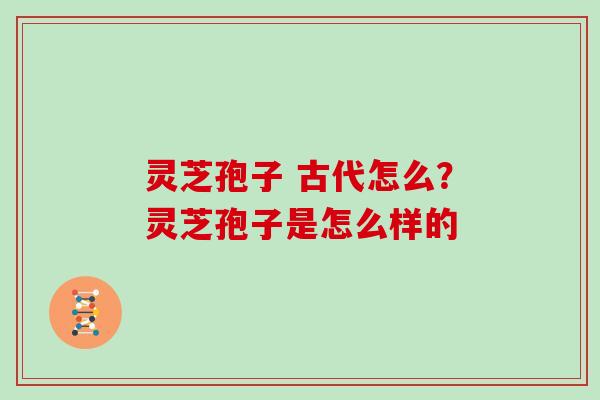 灵芝孢子 古代怎么？灵芝孢子是怎么样的