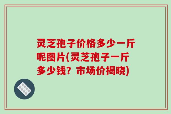 灵芝孢子价格多少一斤呢图片(灵芝孢子一斤多少钱？市场价揭晓)