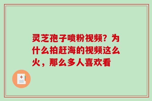 灵芝孢子喷粉视频？为什么拍赶海的视频这么火，那么多人喜欢看
