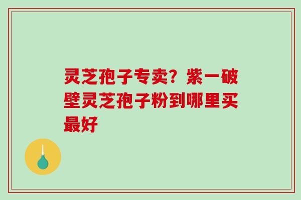 灵芝孢子专卖？紫一破壁灵芝孢子粉到哪里买好