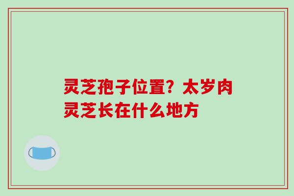 灵芝孢子位置？太岁肉灵芝长在什么地方