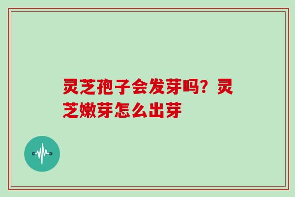 灵芝孢子会发芽吗？灵芝嫩芽怎么出芽