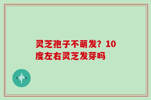 灵芝孢子不萌发?10度左右灵芝发芽吗 灵芝孢子不萌发?10度左右灵芝发芽吗