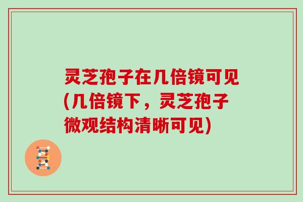 灵芝孢子在几倍镜可见(几倍镜下,灵芝孢子微观结构清晰可见) 灵芝孢子在几倍镜可见(几倍镜下,灵芝孢子微观结构清晰可见)