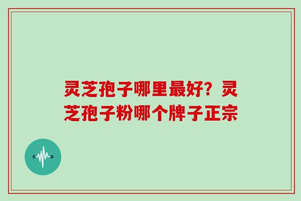 灵芝孢子哪里好？灵芝孢子粉哪个牌子正宗