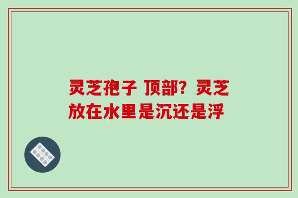 灵芝孢子 顶部?灵芝放在水里是沉还是浮 灵芝孢子 顶部?灵芝放在水里是沉还是浮