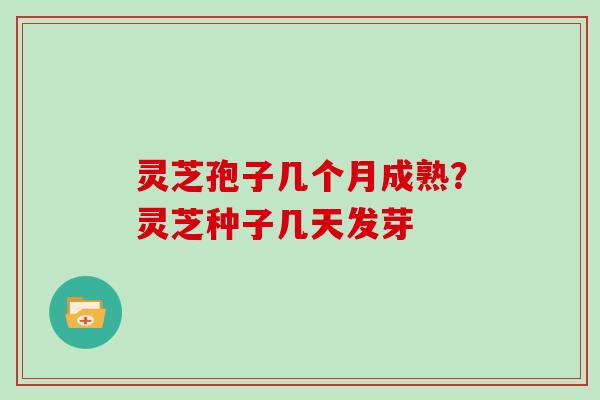 灵芝孢子几个月成熟?灵芝种子几天发芽 灵芝孢子几个月成熟?灵芝种子几天发芽