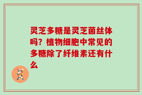 灵芝多糖是灵芝菌丝体吗?植物细胞中常见的多糖除了纤维素还有什么 灵芝多糖是灵芝菌丝体吗?植物细胞中常见的多糖除了纤维素还有什么