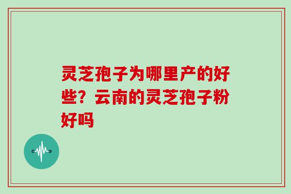 灵芝孢子为哪里产的好些?云南的灵芝孢子粉好吗 灵芝孢子为哪里产的好些?云南的灵芝孢子粉好吗