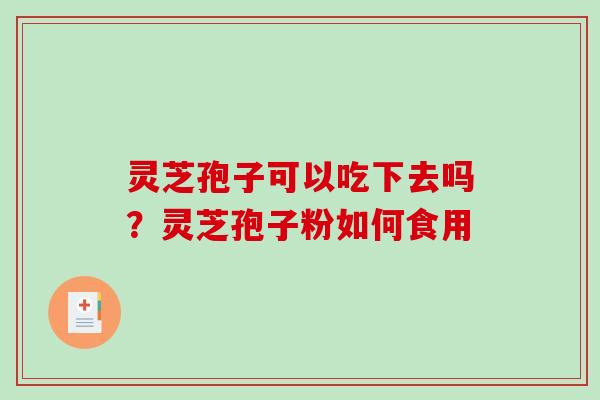 灵芝孢子可以吃下去吗?灵芝孢子粉如何食用 灵芝孢子可以吃下去吗?灵芝孢子粉如何食用