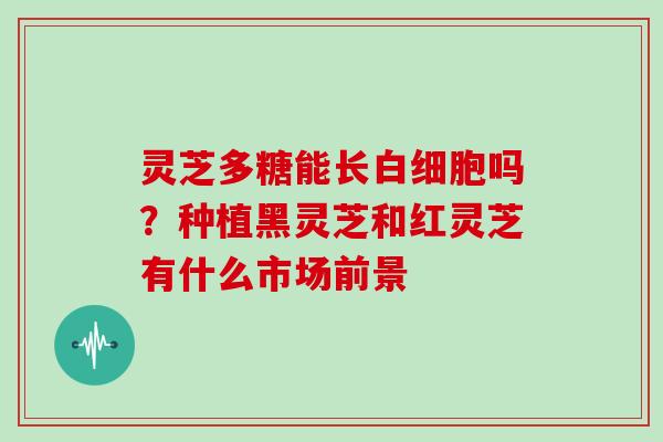 灵芝多糖能长吗？种植黑灵芝和红灵芝有什么市场前景