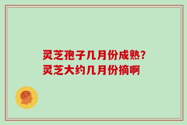 灵芝孢子几月份成熟?灵芝大约几月份摘啊 灵芝孢子几月份成熟?灵芝大约几月份摘啊