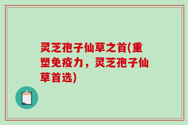 灵芝孢子仙草之首(重塑免疫力,灵芝孢子仙草首选) 灵芝孢子仙草之首(重塑免疫力,灵芝孢子仙草首选)