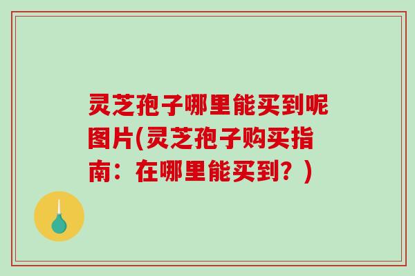 灵芝孢子哪里能买到呢图片(灵芝孢子购买指南：在哪里能买到？)