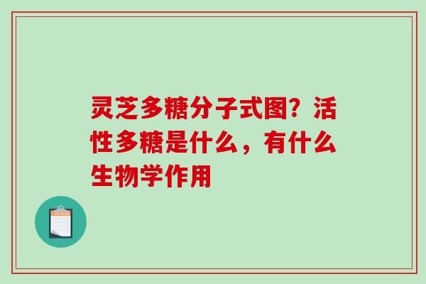 灵芝多糖分子式图?活性多糖是什么,有什么生物学作用 灵芝多糖分子式图?活性多糖是什么,有什么生物学作用