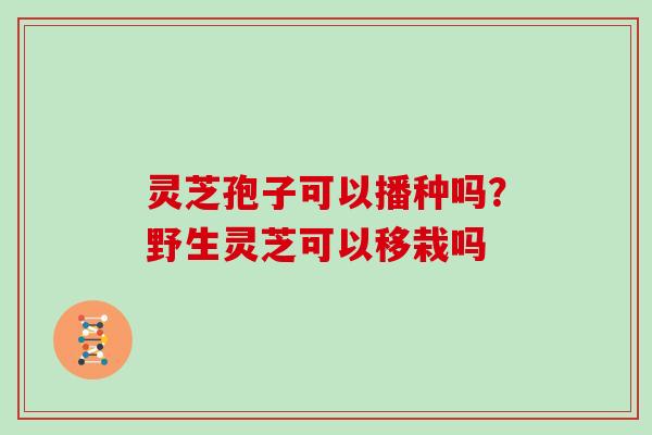 灵芝孢子可以播种吗?野生灵芝可以移栽吗 灵芝孢子可以播种吗?野生灵芝可以移栽吗