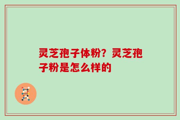 灵芝孢子体粉?灵芝孢子粉是怎么样的 灵芝孢子体粉?灵芝孢子粉是怎么样的
