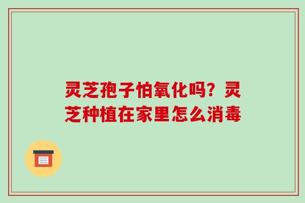 灵芝孢子怕氧化吗?灵芝种植在家里怎么消毒 灵芝孢子怕氧化吗?灵芝种植在家里怎么消毒