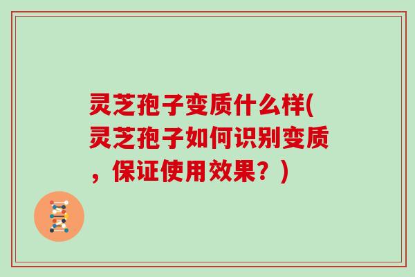 灵芝孢子变质什么样(灵芝孢子如何识别变质,保证使用效果?) 灵芝孢子变质什么样(灵芝孢子如何识别变质,保证使用效果?)