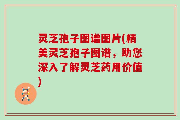 灵芝孢子图谱图片(精美灵芝孢子图谱，助您深入了解灵芝药用价值)