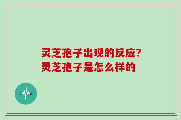 灵芝孢子出现的反应?灵芝孢子是怎么样的 灵芝孢子出现的反应?灵芝孢子是怎么样的
