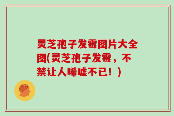 灵芝孢子发霉图片大全图(灵芝孢子发霉，不禁让人唏嘘不已！)