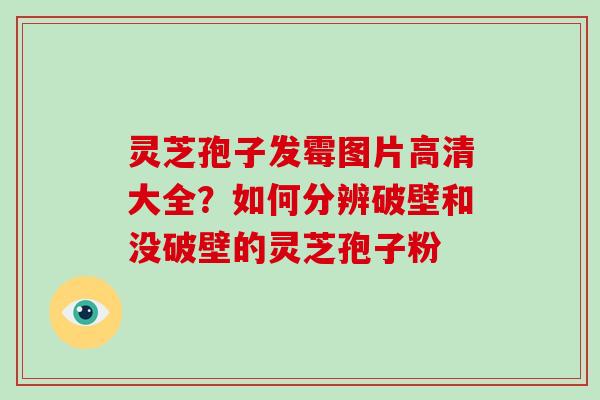 灵芝孢子发霉图片高清大全？如何分辨破壁和没破壁的灵芝孢子粉