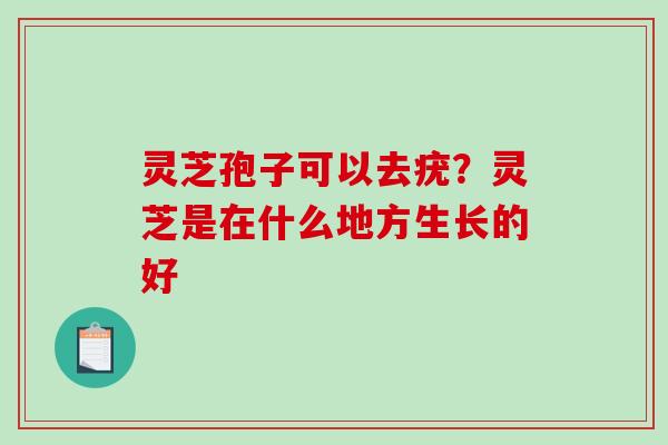 灵芝孢子可以去疣？灵芝是在什么地方生长的好