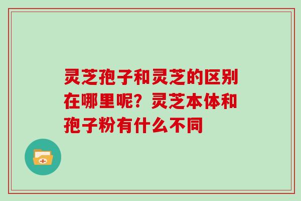 灵芝孢子和灵芝的区别在哪里呢？灵芝本体和孢子粉有什么不同
