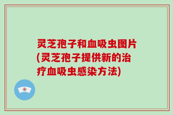 灵芝孢子和吸虫图片(灵芝孢子提供新的吸虫方法)