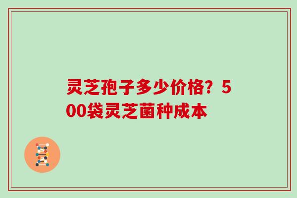 灵芝孢子多少价格？500袋灵芝菌种成本