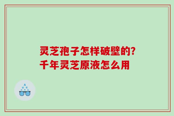 灵芝孢子怎样破壁的？千年灵芝原液怎么用