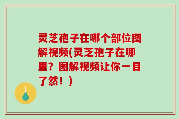 灵芝孢子在哪个部位图解视频(灵芝孢子在哪里？图解视频让你一目了然！)
