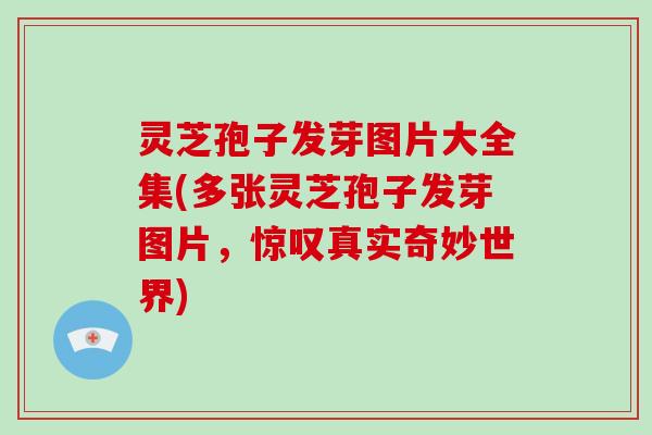 灵芝孢子发芽图片大全集(多张灵芝孢子发芽图片，惊叹真实奇妙世界)