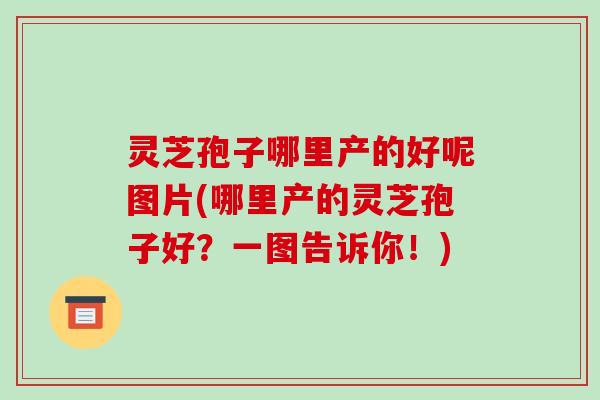 灵芝孢子哪里产的好呢图片(哪里产的灵芝孢子好？一图告诉你！)