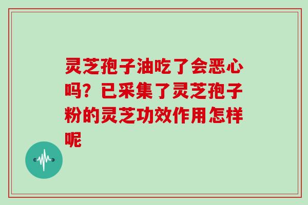 灵芝孢子油吃了会恶心吗？已采集了灵芝孢子粉的灵芝功效作用怎样呢