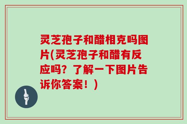 灵芝孢子和醋相克吗图片(灵芝孢子和醋有反应吗？了解一下图片告诉你答案！)