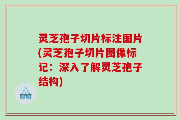 灵芝孢子切片标注图片(灵芝孢子切片图像标记：深入了解灵芝孢子结构)