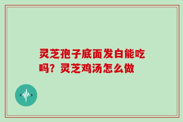 灵芝孢子底面发白能吃吗？灵芝鸡汤怎么做