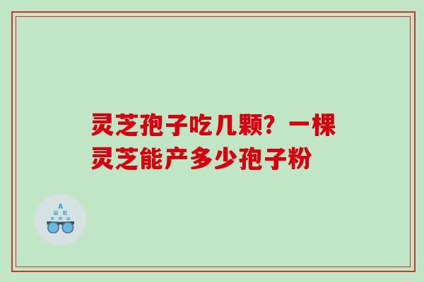 灵芝孢子吃几颗？一棵灵芝能产多少孢子粉