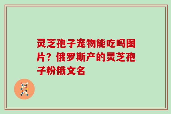 灵芝孢子宠物能吃吗图片？俄罗斯产的灵芝孢子粉俄文名