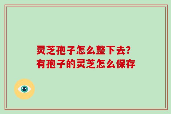 灵芝孢子怎么整下去?有孢子的灵芝怎么保存 灵芝孢子怎么整下去?有孢子的灵芝怎么保存