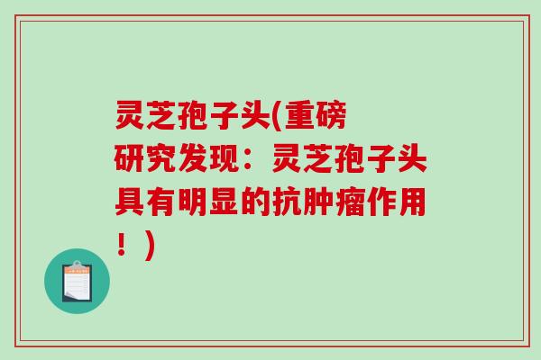 灵芝孢子头(重磅 研究发现:灵芝孢子头具有明显的抗作用!) 灵芝孢子头(重磅 研究发现:灵芝孢子头具有明显的抗作用!)