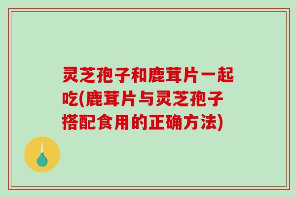 灵芝孢子和鹿茸片一起吃(鹿茸片与灵芝孢子搭配食用的正确方法) 灵芝孢子和鹿茸片一起吃(鹿茸片与灵芝孢子搭配食用的正确方法)