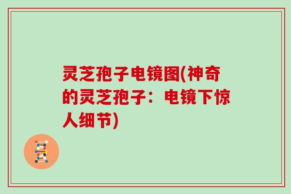 灵芝孢子电镜图(神奇的灵芝孢子:电镜下惊人细节) 灵芝孢子电镜图(神奇的灵芝孢子:电镜下惊人细节)