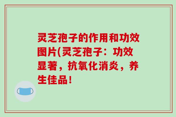 灵芝孢子的作用和功效图片(灵芝孢子：功效显著，，养生佳品！