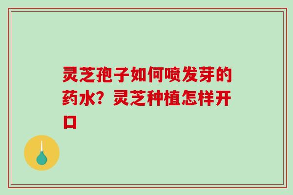 灵芝孢子如何喷发芽的药水？灵芝种植怎样开口