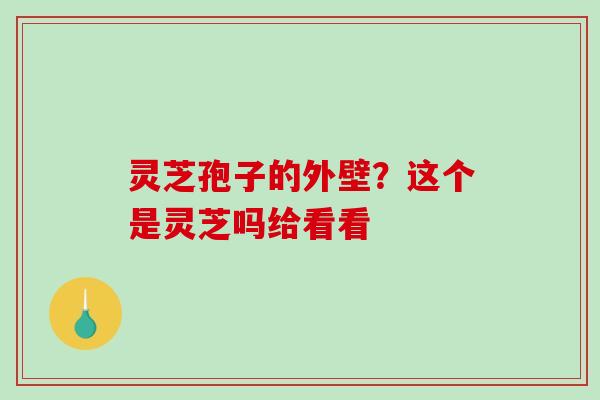 灵芝孢子的外壁？这个是灵芝吗给看看