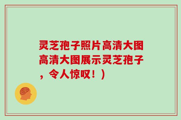 灵芝孢子照片高清大图高清大图展示灵芝孢子，令人惊叹！)