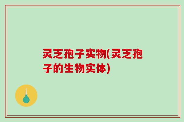 灵芝孢子实物(灵芝孢子的生物实体)